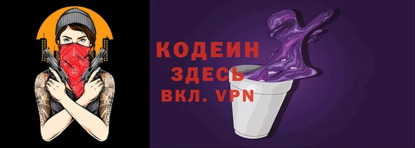 дмт Ладушкин