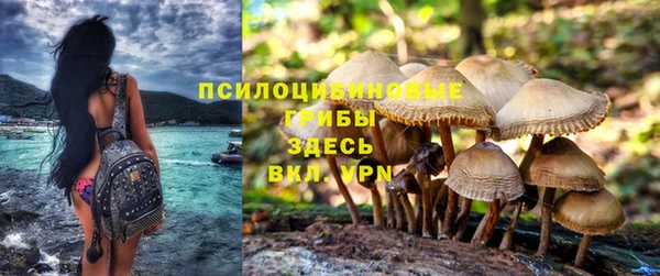 стафф Лиски