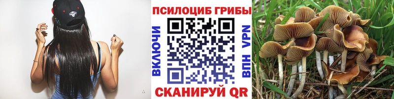kraken ссылки  Удачный  Псилоцибиновые грибы Magic Shrooms 